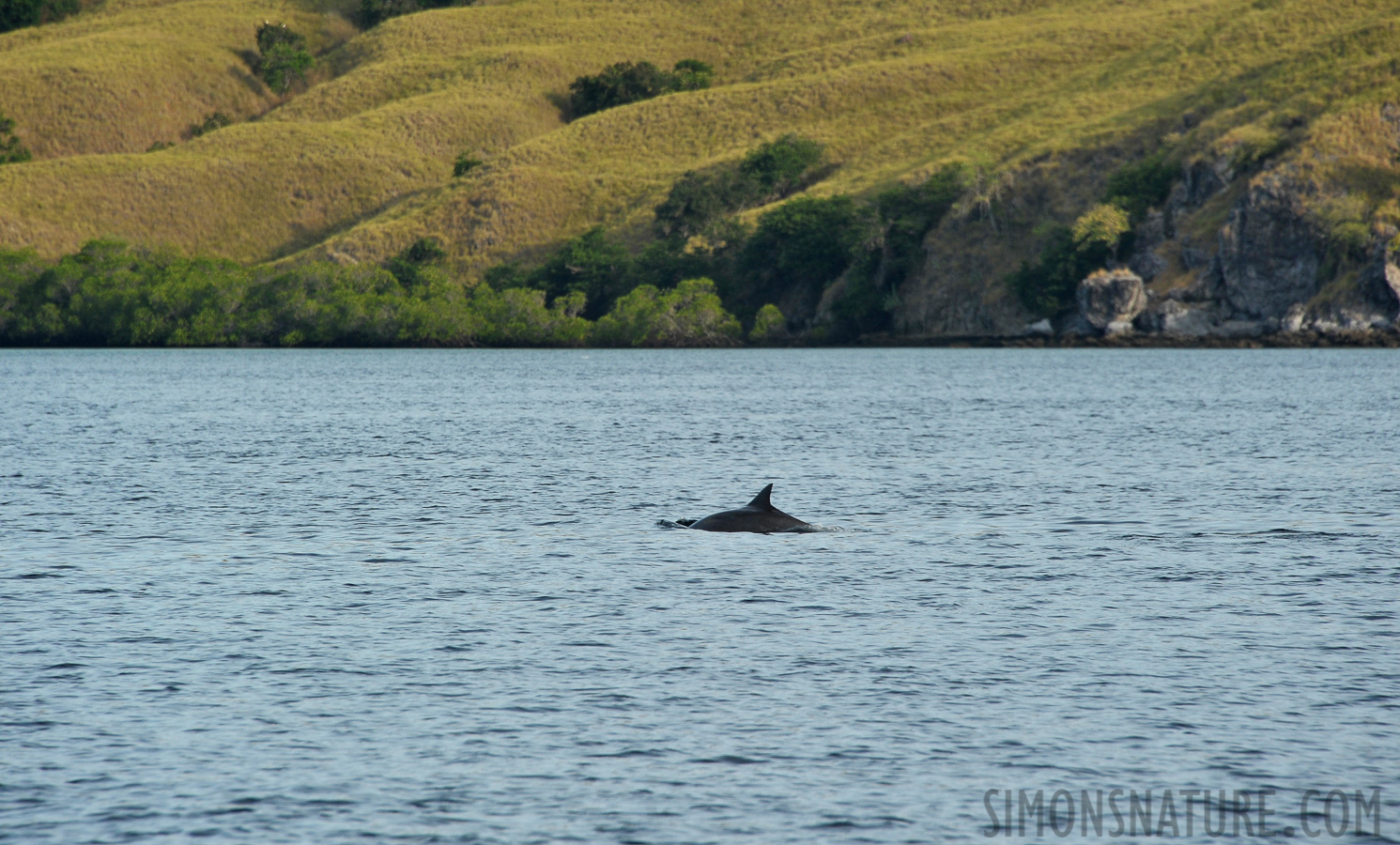 [300 mm, 1/500 sec at f / 9.0, ISO 400]